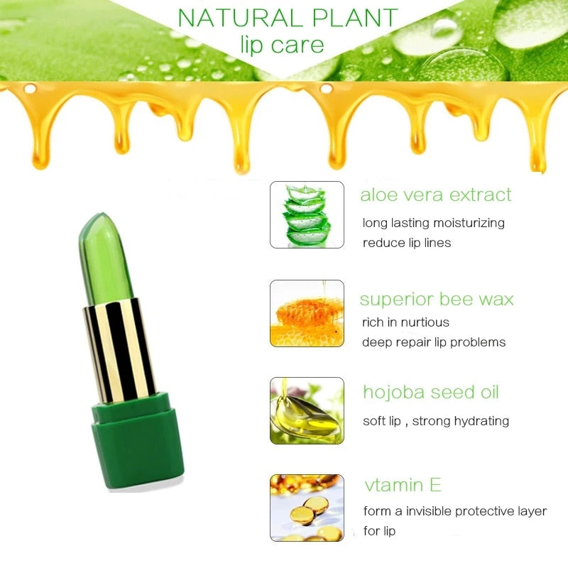 Aloe Vera Moisturizing Lip Balm - My Store